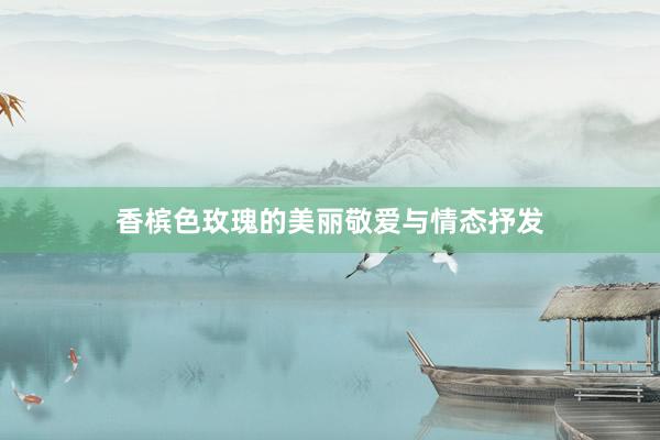 香槟色玫瑰的美丽敬爱与情态抒发